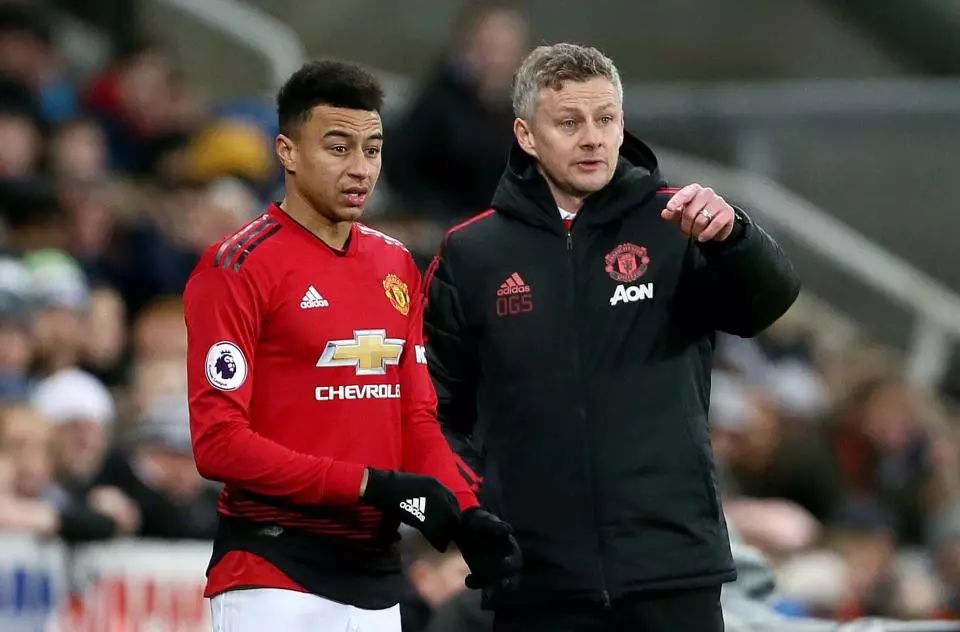 和强壮的体 和强壮的体