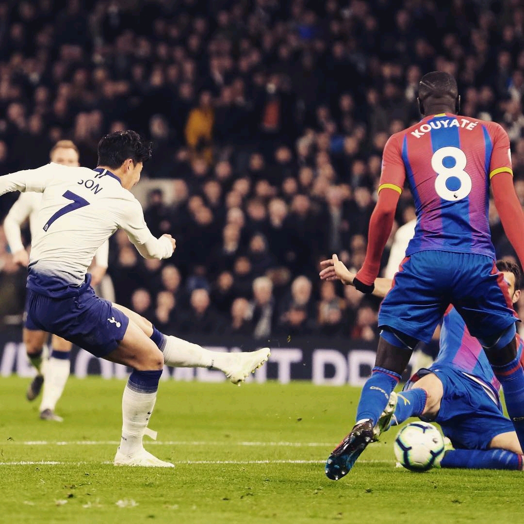 维尼修斯的 维尼修斯的